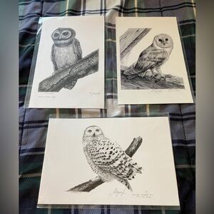 Owl Art Prints Set